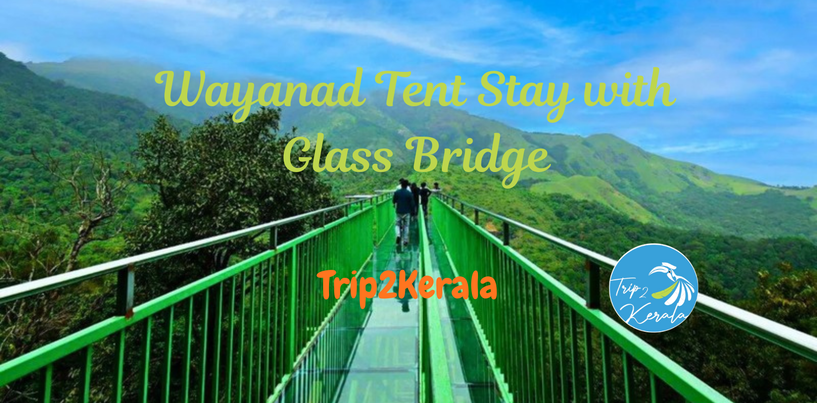 Wayanad Tour