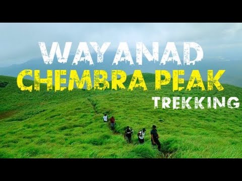 Chembra peak trekking - Wayanad