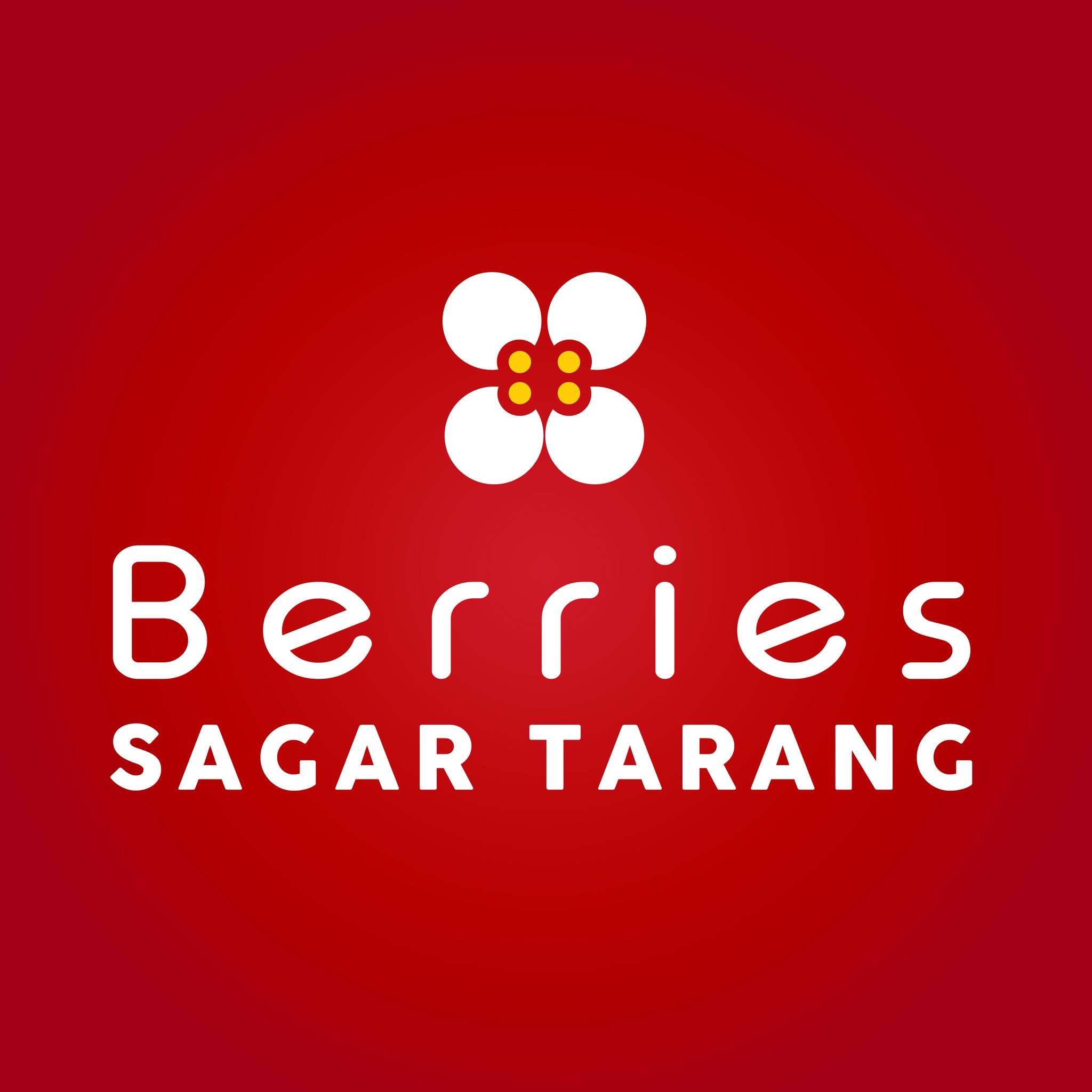 BERRIES GROUP OF HOTELS (A UNIT OF HOTELS AND HOLIDAY.COM)