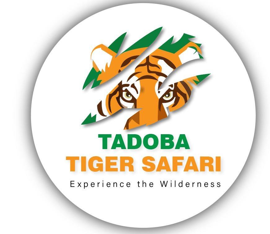 Tadoba Tiger Safari